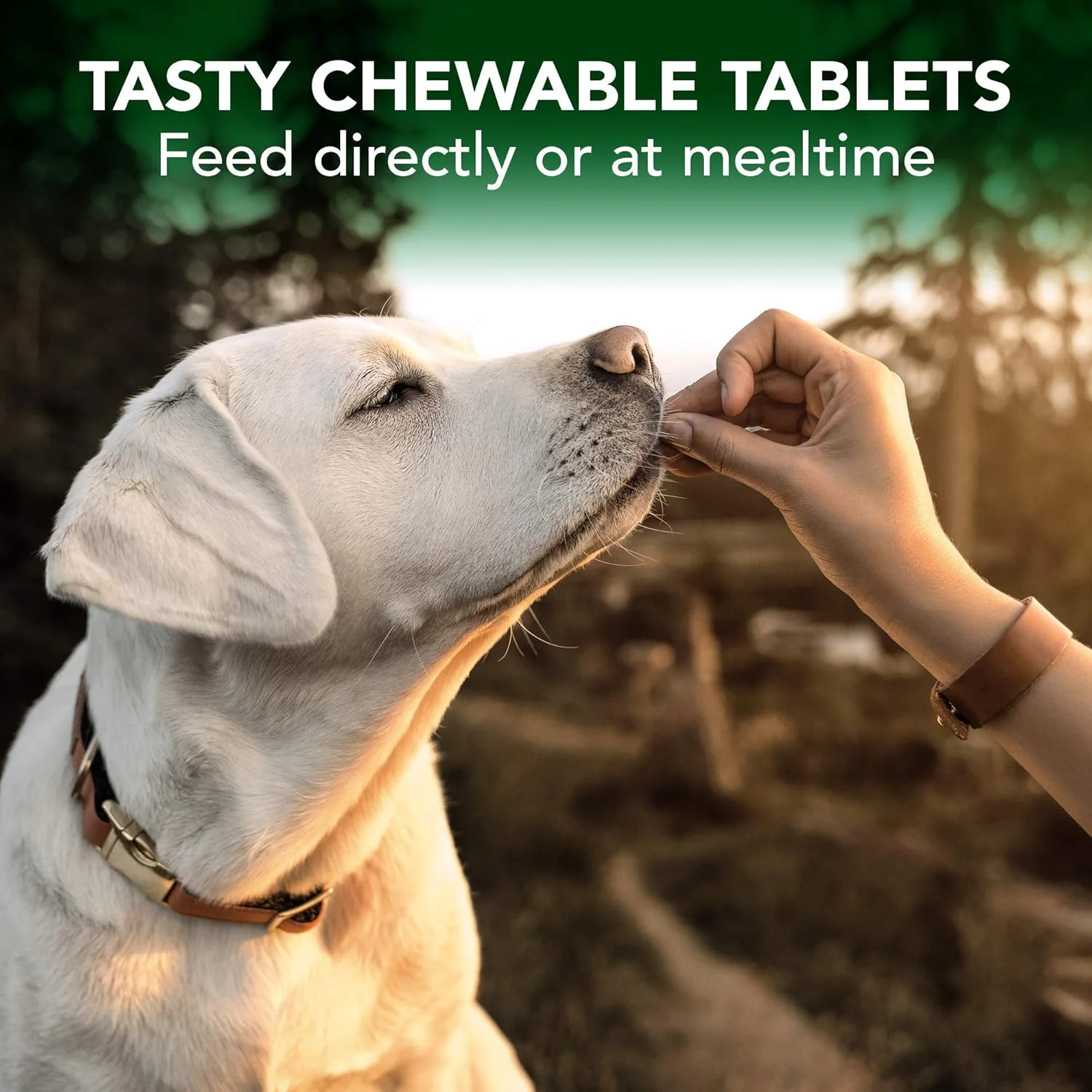 Vet's Best Plant-Based Skin & Coat Supplement For Dogs - 60 Tablets - Image 5