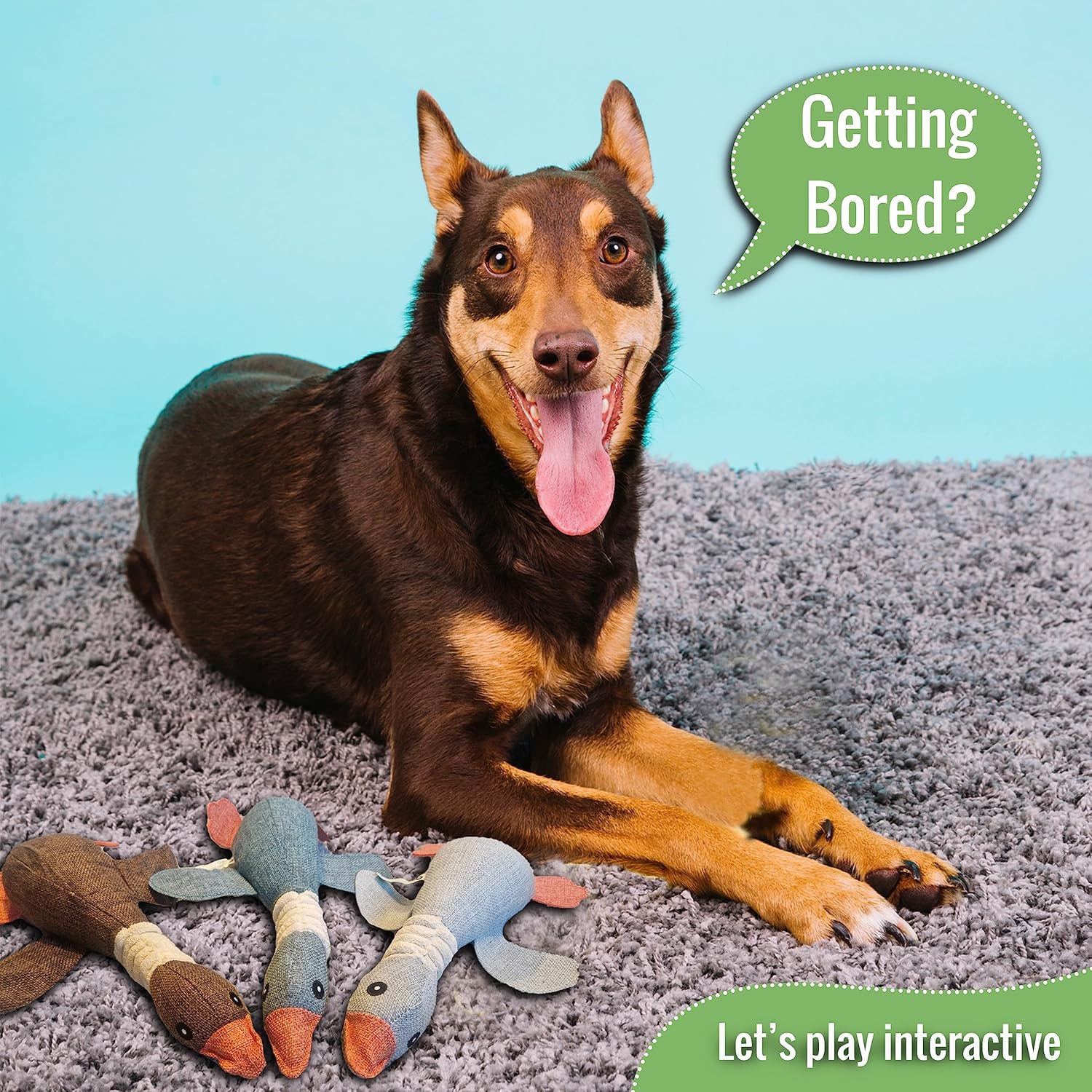 Wild Goose Squeaky Dog Toys for Small to Medium Dogs (Grey & Blue) - Image 4