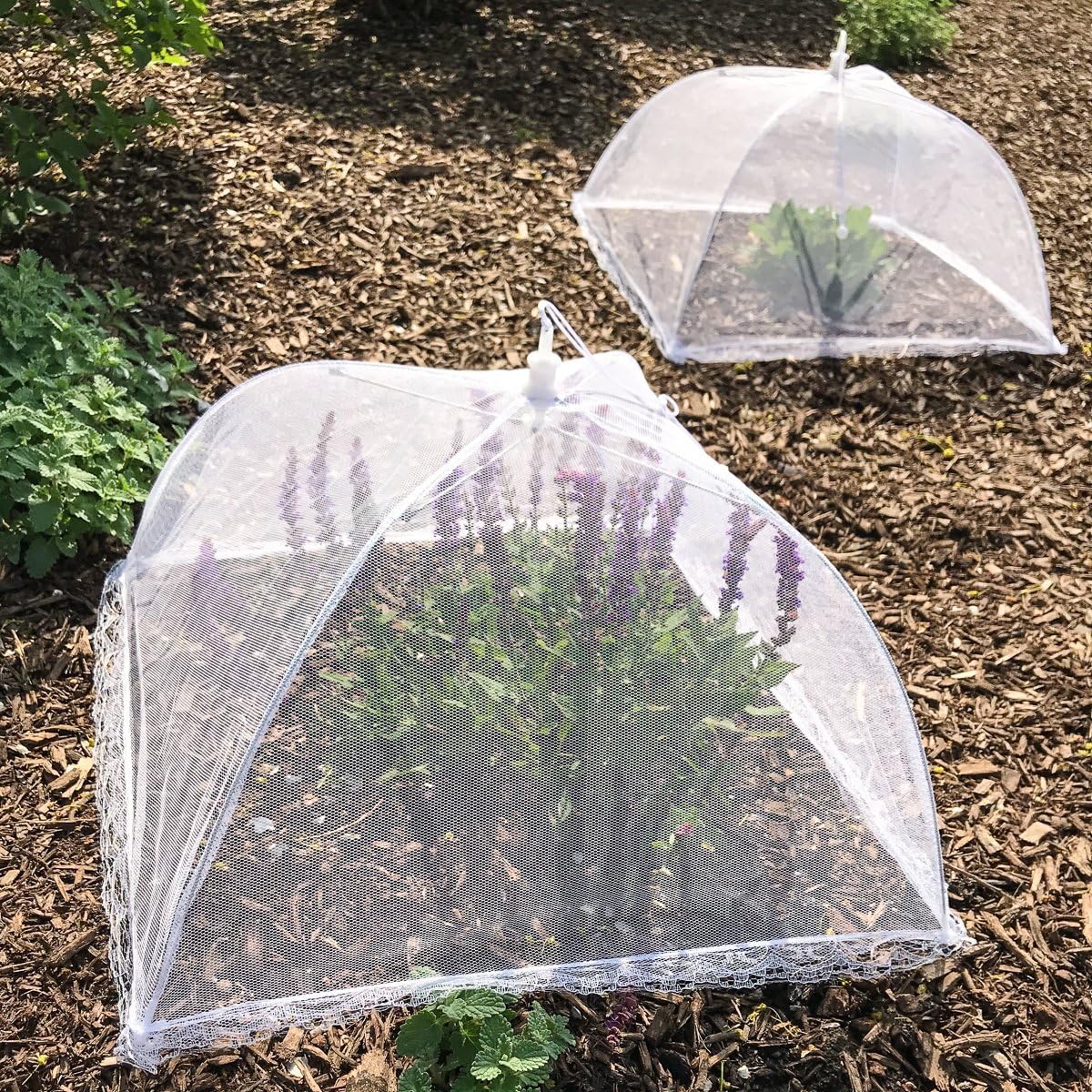 WISDOMWELL Pop-Up Mesh Food Covers - 4 Pack - Image 6